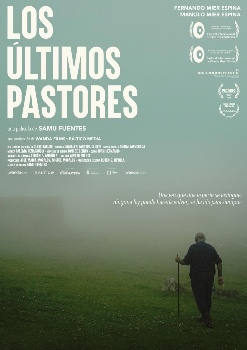 Cine