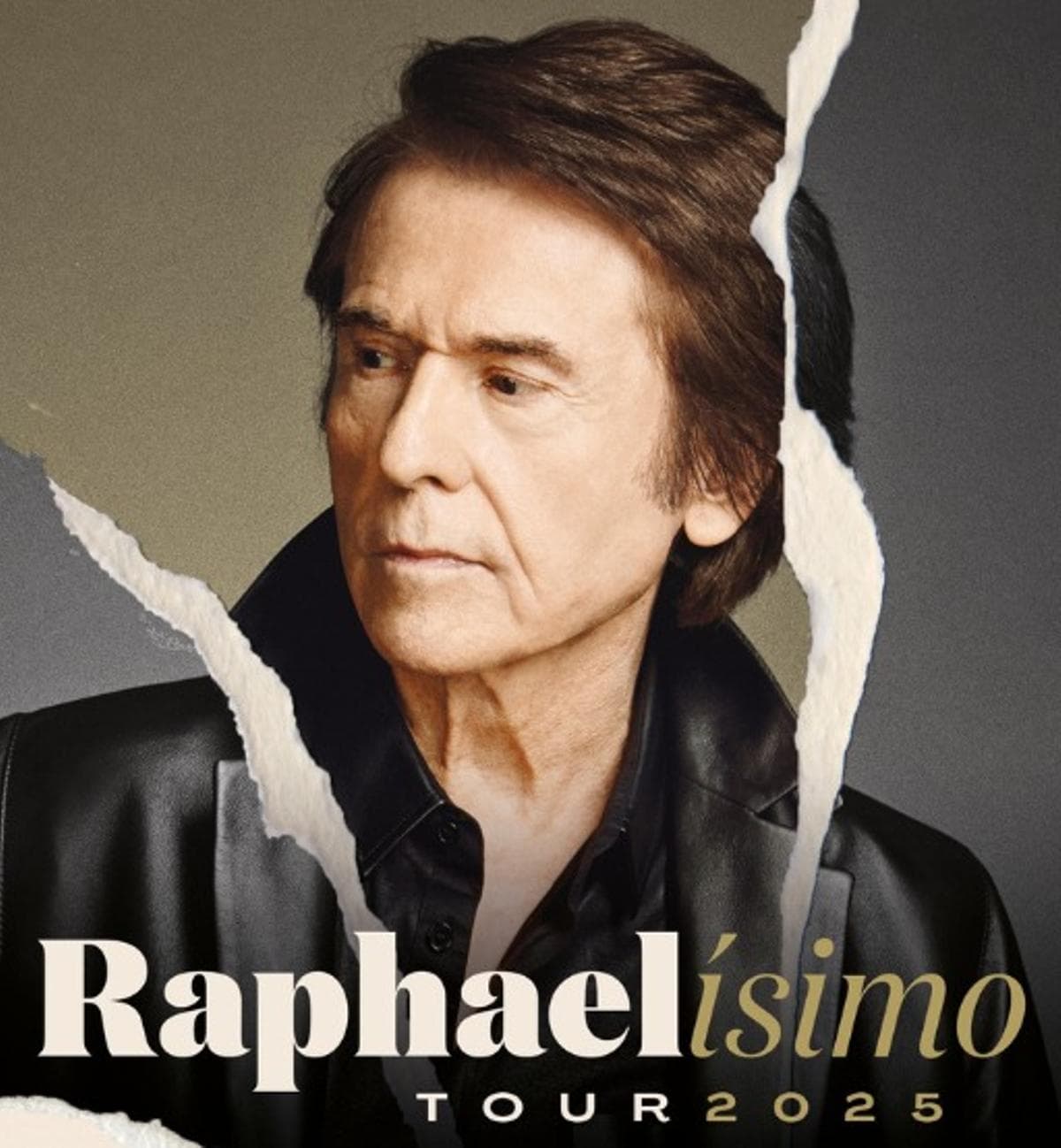 Concierto de Raphael