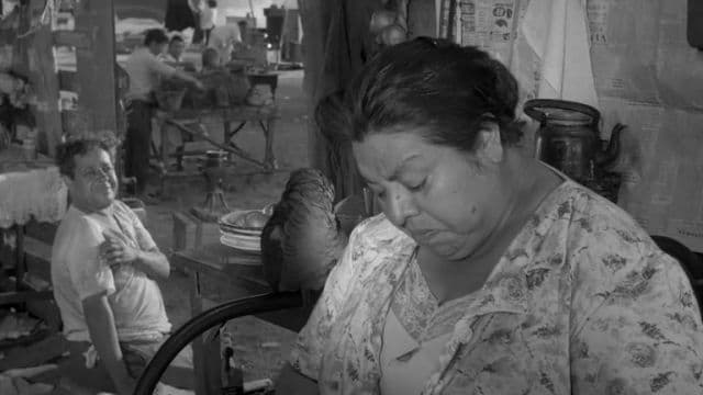 Proyección de 'Los inundados'