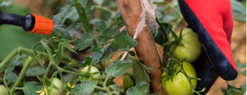 Curso Manipulador/a de Productos Fitosanitarios