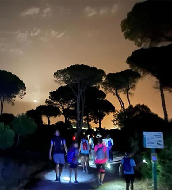 Ruta nocturna interpretada en Los Toruños y Pinar de La Algaida