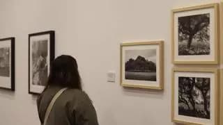 Visita temática 'El futuro de los museos en comunidades en constante cambio'