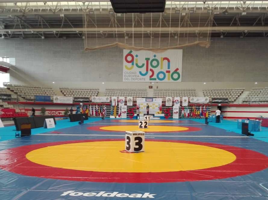 Campeonato de España de Sambo