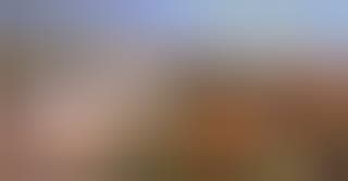 Visita guiada al Museo de Málaga - Sección de Bellas Artes