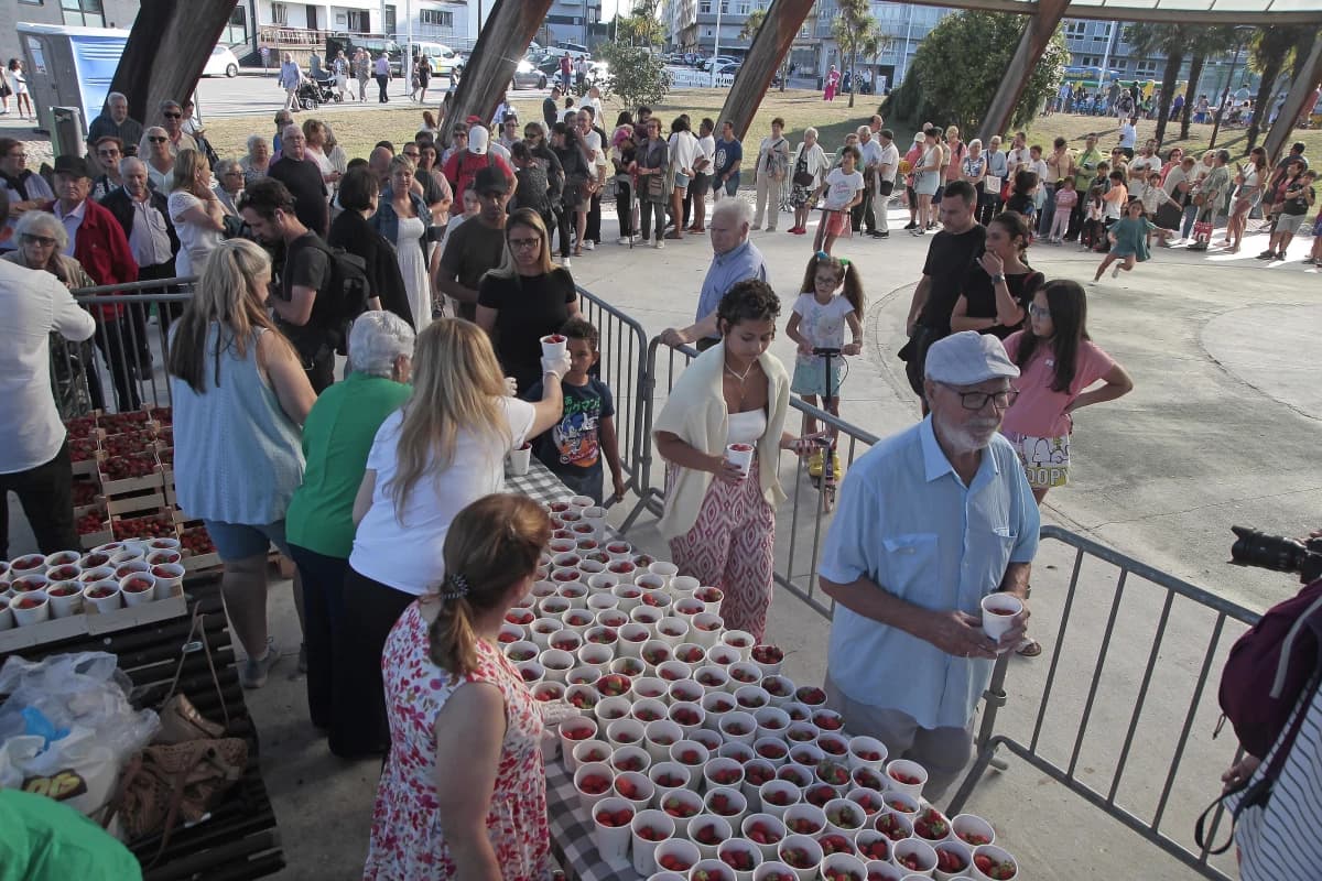 Festa da Fresa