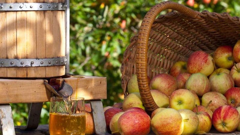 XXVII Fiesta de la Sidra de Bembrive