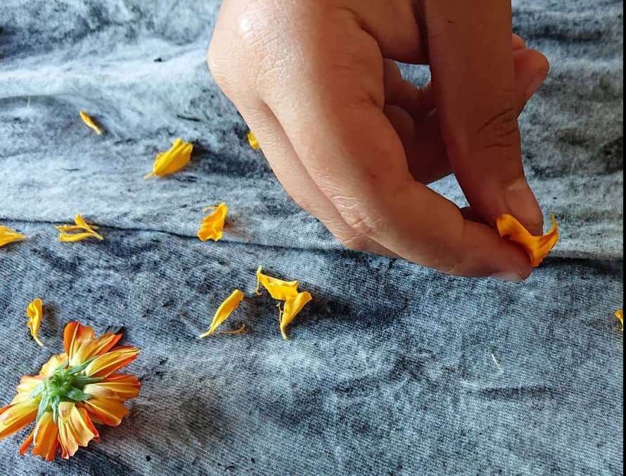 Taller para adultos: Impresión botánica