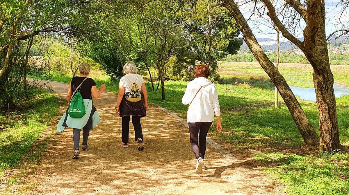 Rutas Saludables