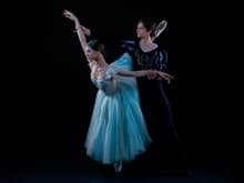 Giselle y el presente de la danza