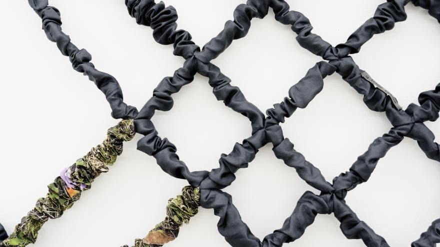 Exposición “Las iguanas van a morder a los hombres que no sueñan”