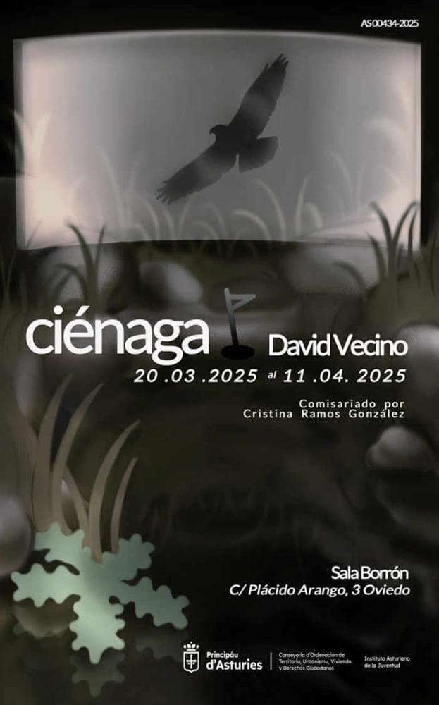 David Vecino. Exposición