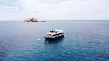 Natural Park Aquarium by Capitan Nemo