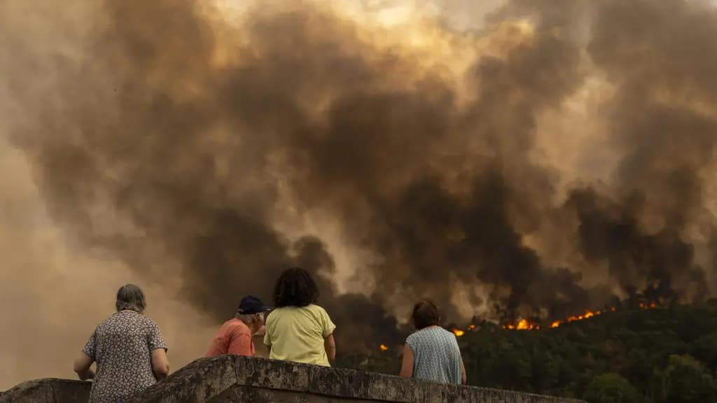 Recogida de ayuda para afectados por incendios forestales