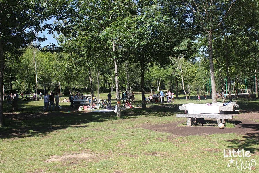 Parque Forestal do Vixiador