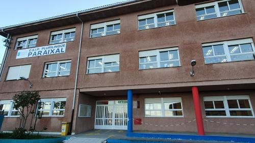 El bosque mágico que crece por Navidad