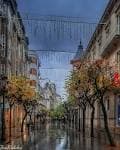 Calle del Paseo en Ourense bajo la lluvia con iluminación ambiental