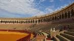 Vista interior de la plaza mostrando el ruedo y las arquerías de los tendidos bajo el cielo de Sevilla