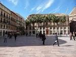 Vista panorámica de la Plaza de la Constitución en Málaga con sus edificios emblemáticos y palmeras