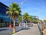 Paseo marítimo de As Avenidas con palmeras y edificios modernos