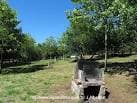 Zona de barbacoa en el Parque Forestal de Bembrive