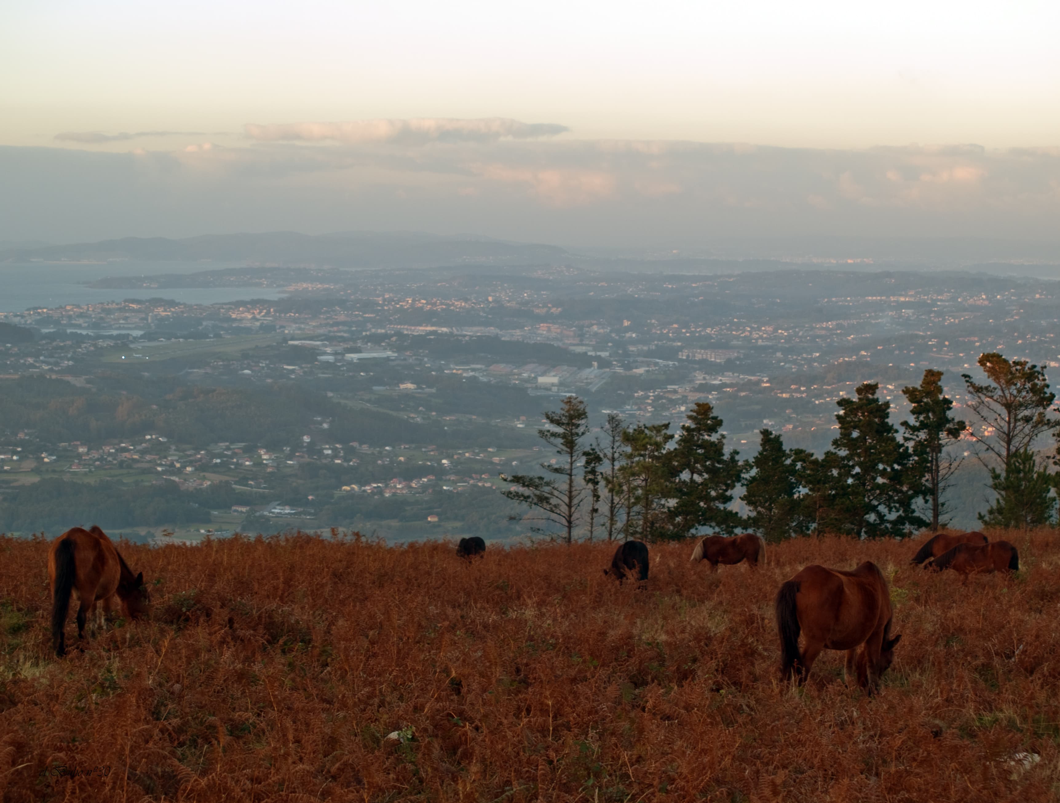 Vista panorámica de Monte Xalo con caballos y la ciudad al fondo