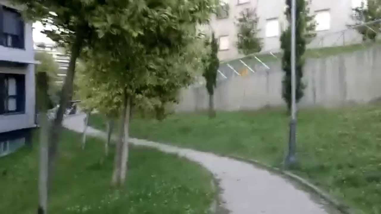 Sendero arbolado en el Parque Barrio Ribadavia-Pizarro de Vigo