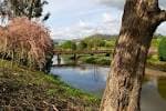 Vista panorámica del río con puente y vegetación en A Xunqueira de Alba