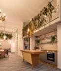 Interior moderno del espacio con cocina abierta y decoración vegetal