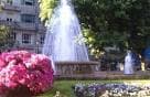 Fuente principal de la Plaza de Compostela con flores en primer plano