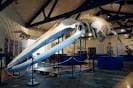 Esqueleto de ballena - Picture of Museo de Historia Natural ...