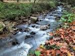 Detalle del río Lagares con rocas y hojas de otoño en el agua.