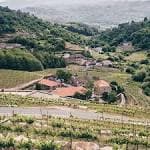 Vista panorámica del Pazo de Toubes y sus viñedos en un día soleado