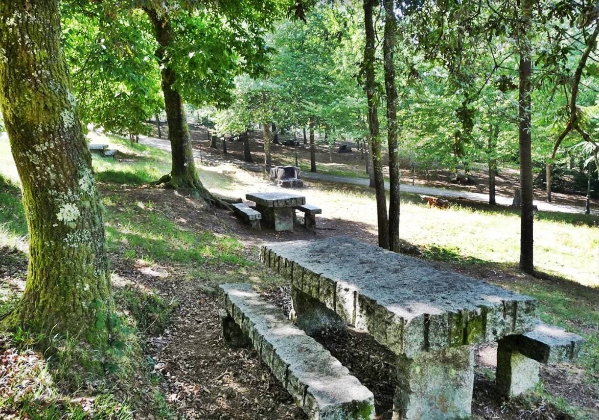 Área de picnic con mesas y bancos de piedra bajo los árboles en el Parque Forestal de Beade