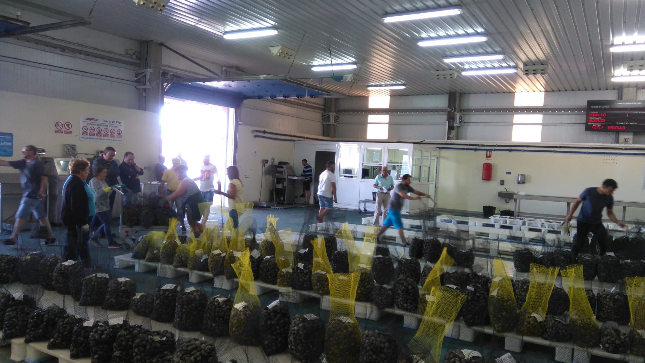Visita a la lonja Vigo SeaFest