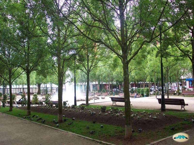 Photocall de estrellas