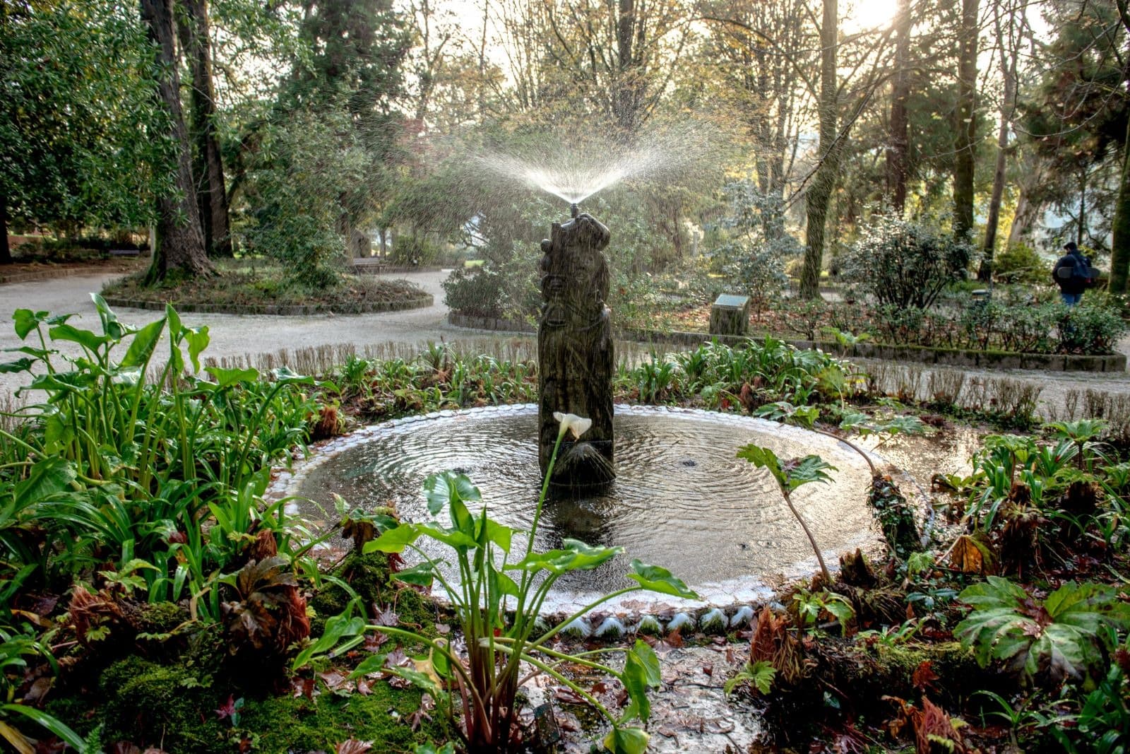 Fuente central en el Xardín Botánico con vegetación exuberante