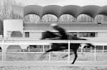 Architecture Classic: The Zarzuela Hippodrome / Carlos Arniches ...