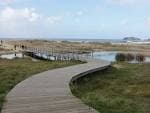 Pasarela de madera serpenteando entre dunas hacia la laguna