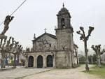 Exterior de la Iglesia de Santa Cristina de Lavadores en un día gris, con árboles podados