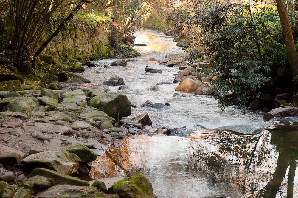 Río Lagares fluyendo entre rocas y vegetación en un entorno natural.