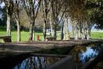 Paseo arbolado con canal de agua en el Parque de A Riouxa