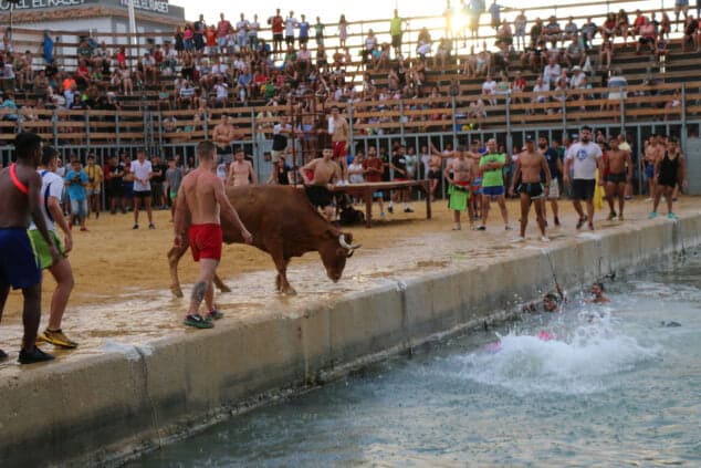 Bous a la Mar: when are the Dénia bulls?