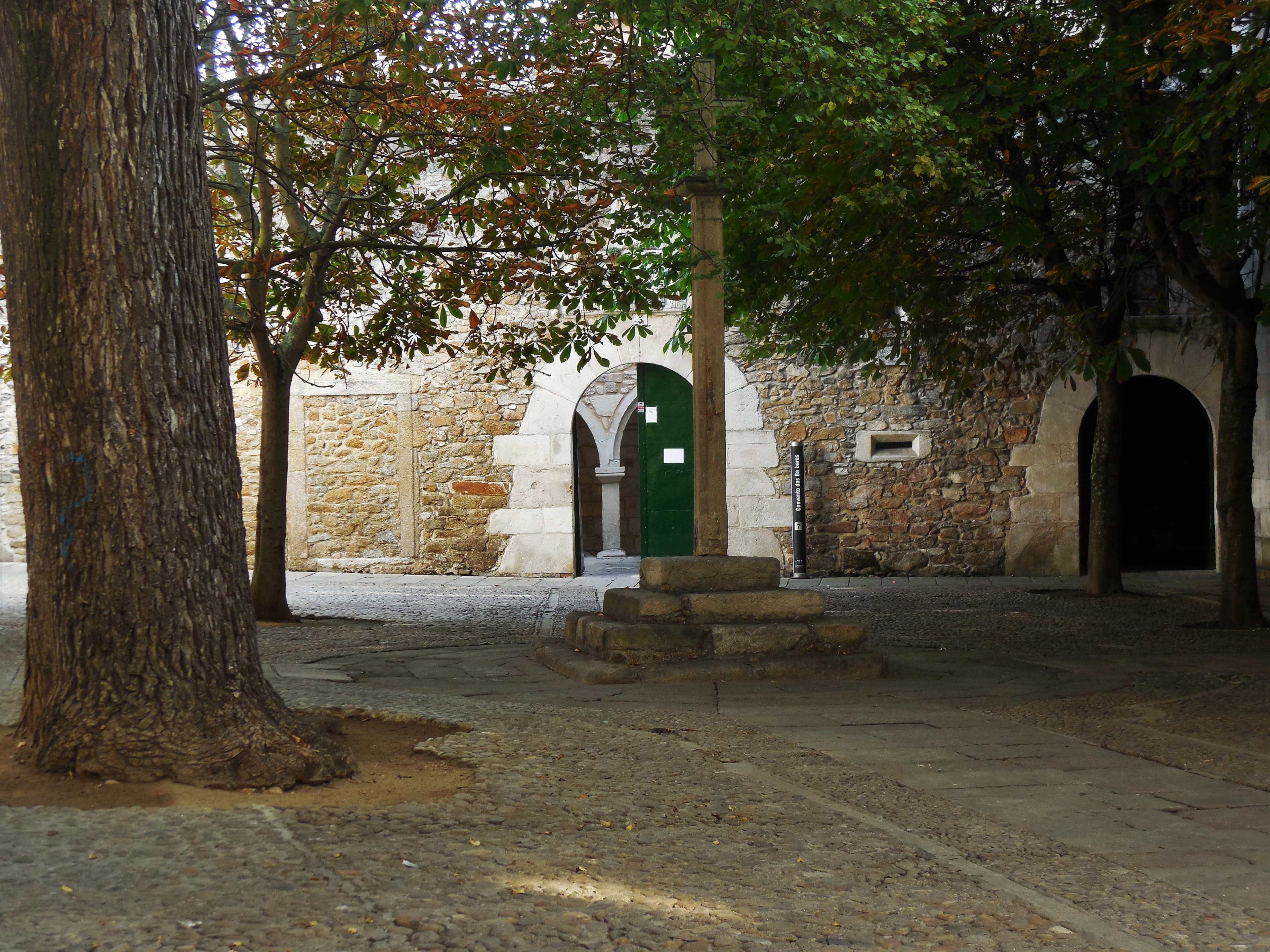 Loita de Elementos (Lume)