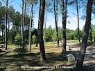 Vista panorámica del bosque de pinos y áreas verdes en el Parque Forestal de Zamáns.