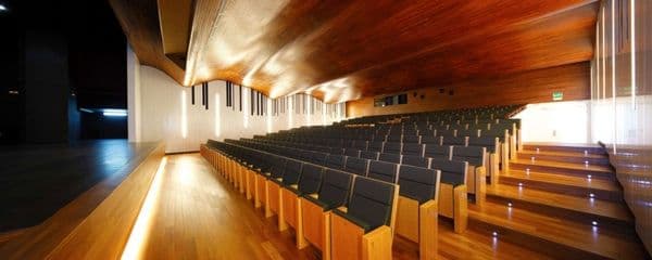 Interior del auditorio con filas de butacas y techo de madera
