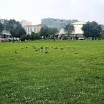 Amplia zona de césped en el Parque de Eirís, ideal para eventos al aire libre