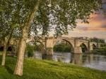 Puente Romano de Ourense visto desde la orilla arbolada del río