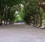 Vista del amplio camino central flanqueado por árboles en la Alameda de Suances