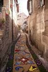 Callejón histórico con alfombra floral decorativa