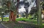 Árboles centenarios y zonas verdes en los jardines